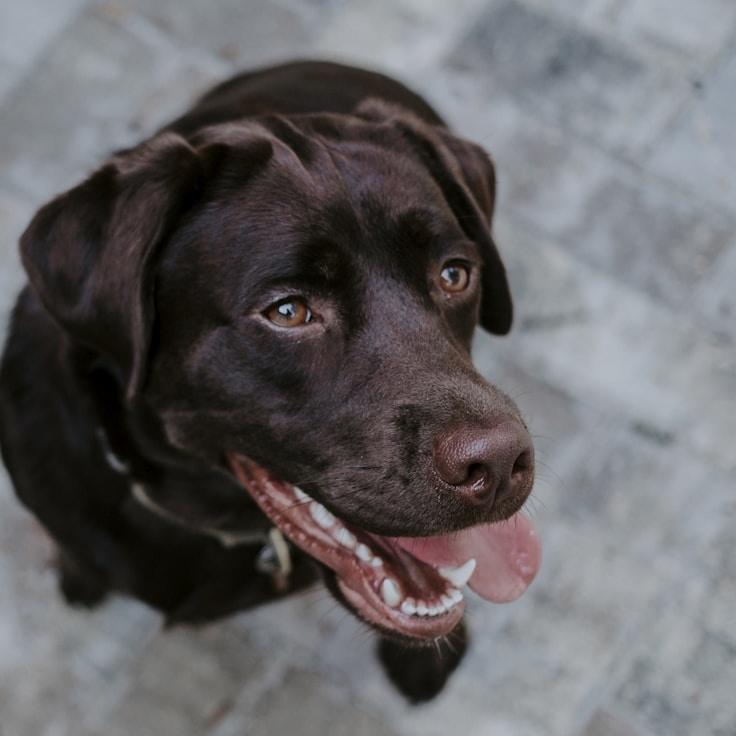 Testimonial by Alex Chen